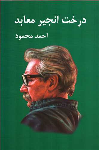 درخت انجير معابد 2 جلدي (معين)