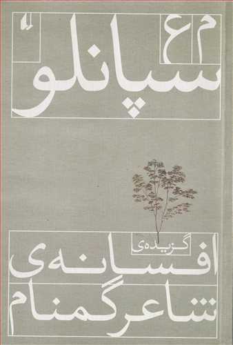 گزيده ي افسانه ي شاعر گمنام (افق)