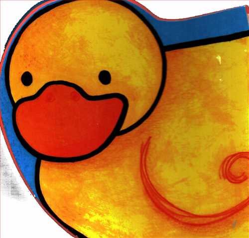 کتاب فومی: شالاپ شولوپ یه اردک!