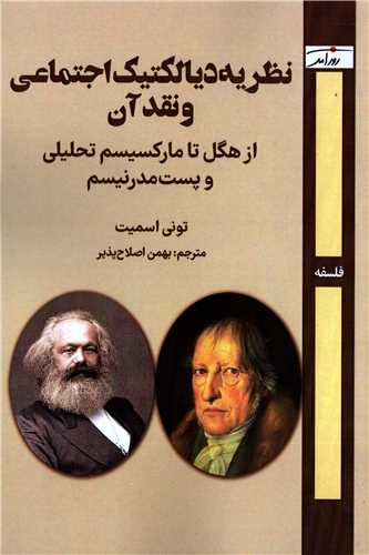 نظریه دیالکتیک اجتماعی و نقد آن