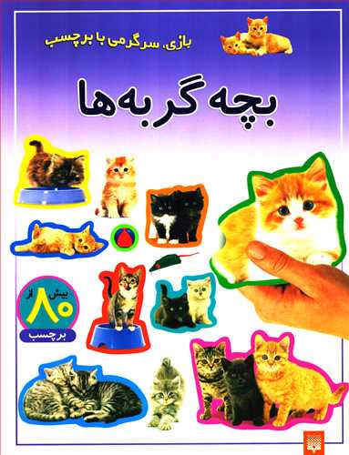 بازی، سرگرمی با برچسب: بچه گربه ها