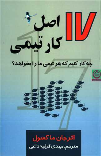 17 اصل کار تیمی