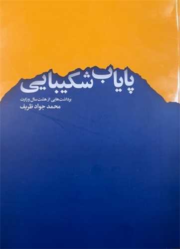 پاياب شکيبايي (اطلاعات)