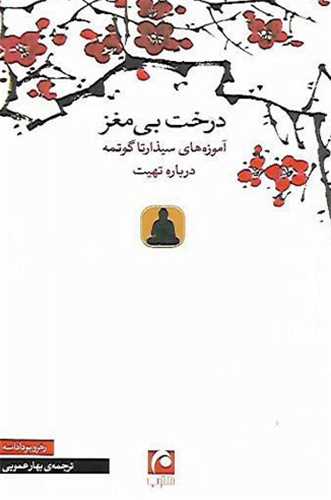 درخت بي مغز (مکتوب)