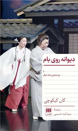 دیوانه روی بام