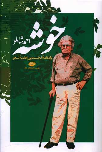 خوشه (نگاه)