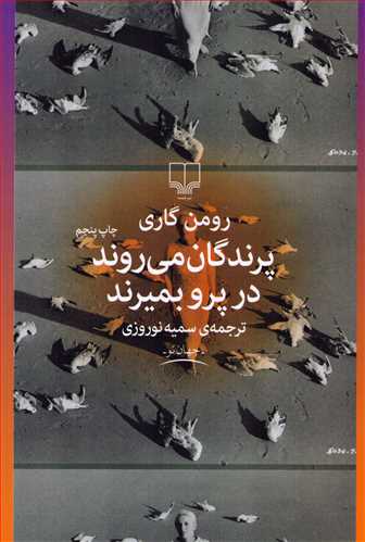 پرندگان مي روند در پرو بميرند (چشمه)